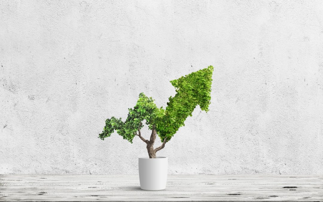 Six Ps Framework for Business Growth: Strategy, Performance & Profitability