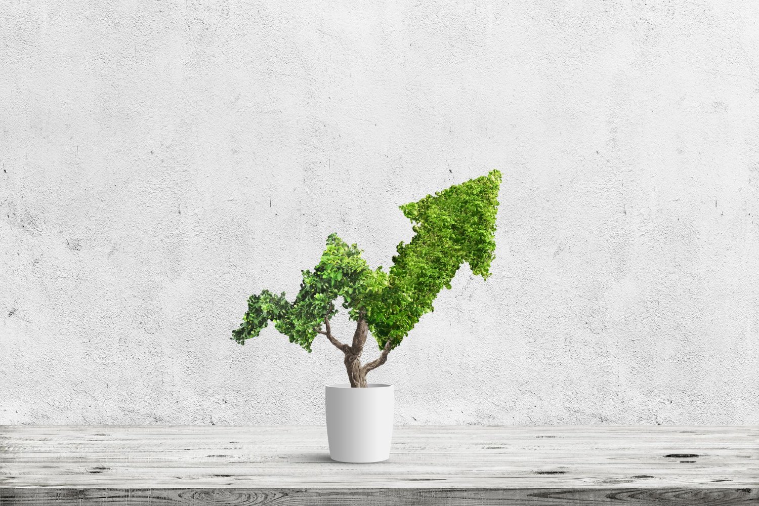 Six Ps Framework for Business Growth: Strategy, Performance & Profitability